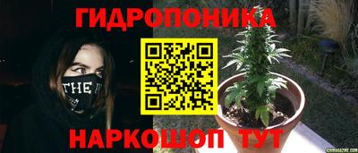 марки lsd Можга