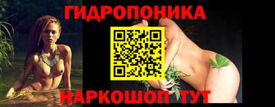 крисы Можайск