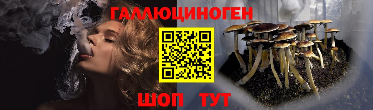 Сыктывкар  Псилоцибиновые грибы мицелий  Вход с VPN 